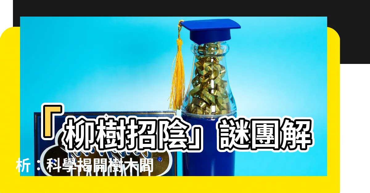 【柳樹招陰】「柳樹招陰」謎團解析：科學揭開樹木間的超自然連結