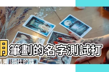 【免費測名字胡】胡筆劃的名字測試打分結果 |胡仕的姓名測試 |胡改名的名字測試打分結果 |