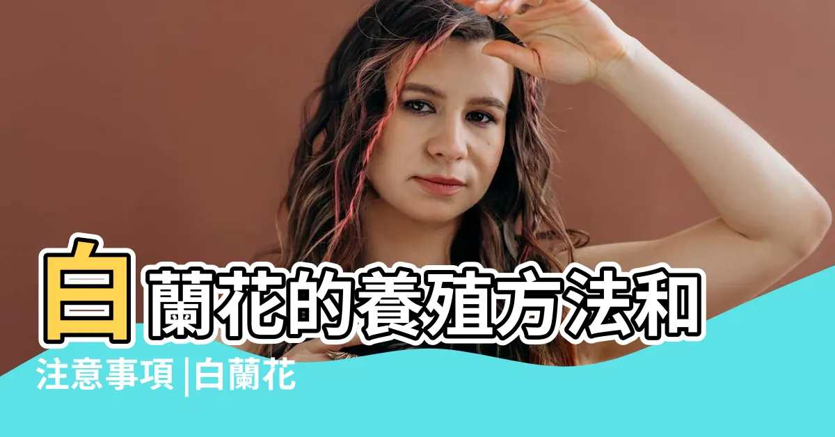 【白蘭花種植】白蘭花的養殖方法和注意事項 |白蘭花最全養殖攻略 |養不好的速看 |