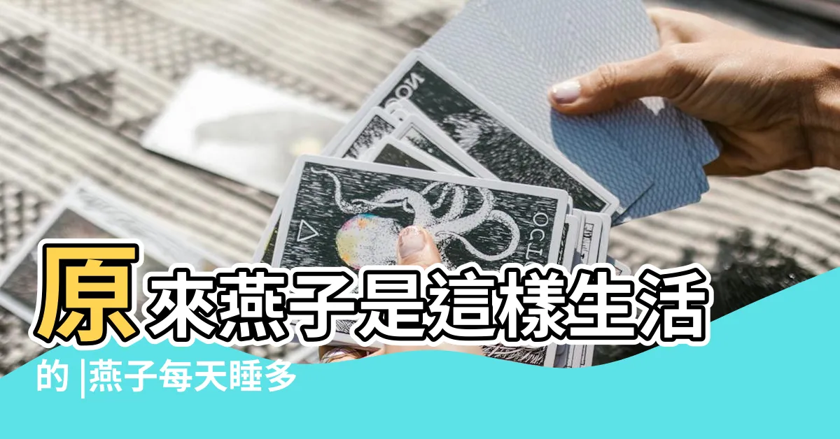 【燕子睡覺】原來燕子是這樣生活的 |燕子每天睡多久 |搜索結果 |