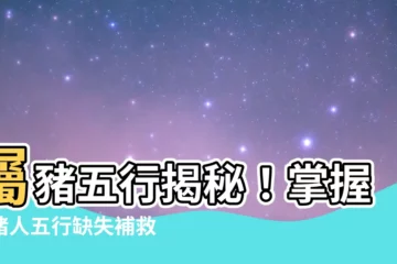【屬豬五行】屬豬五行揭秘！掌握屬豬人五行缺失補救秘笈，開運大轉運！