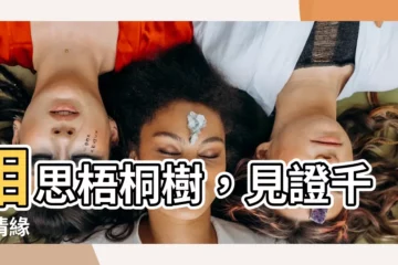 【梧桐樹】相思梧桐樹，見證千古情緣