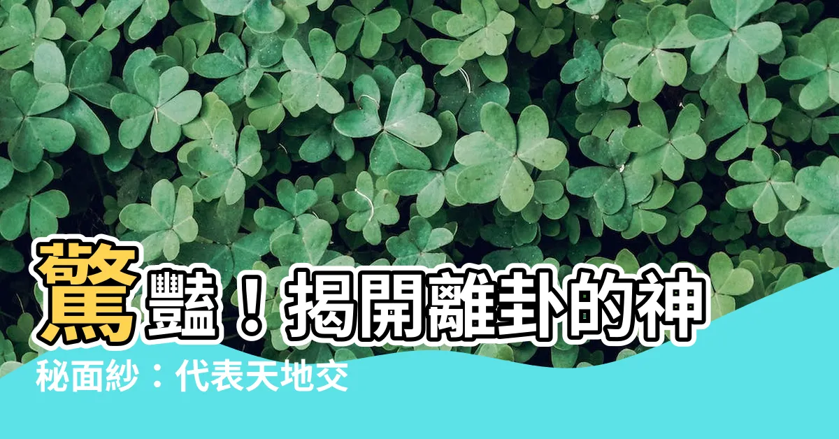【離卦代表】驚豔！揭開離卦的神秘面紗：代表天地交會的奧秘