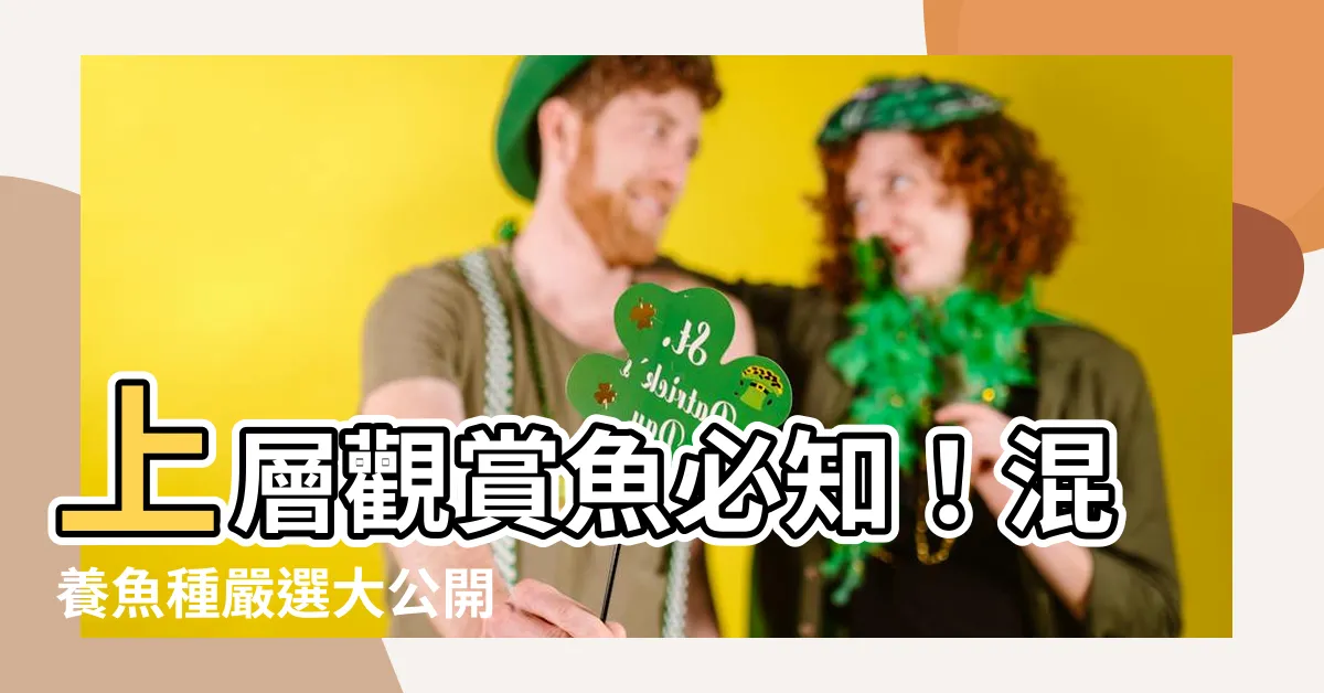 【上層觀賞魚】上層觀賞魚必知！混養魚種嚴選大公開