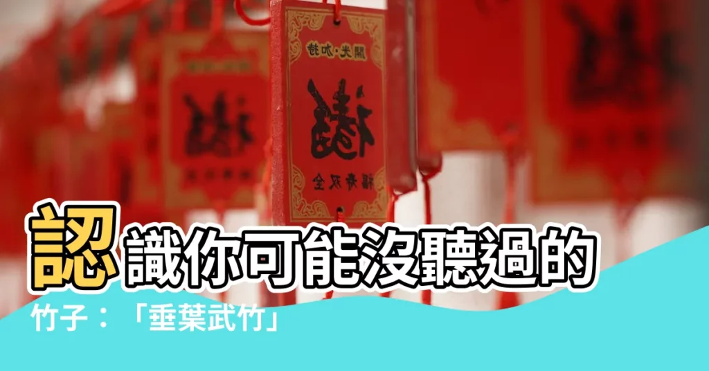 【垂葉武竹】認識你可能沒聽過的竹子：「垂葉武竹」！