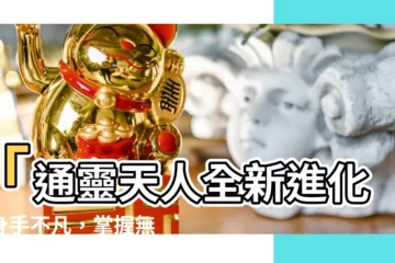 【通靈天人】「通靈天人全新進化：身手不凡，掌握無敵力量！」