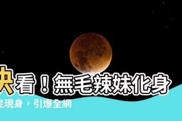 【無毛 白虎】快看！無毛辣妹化身白虎現身，引爆全網話題！