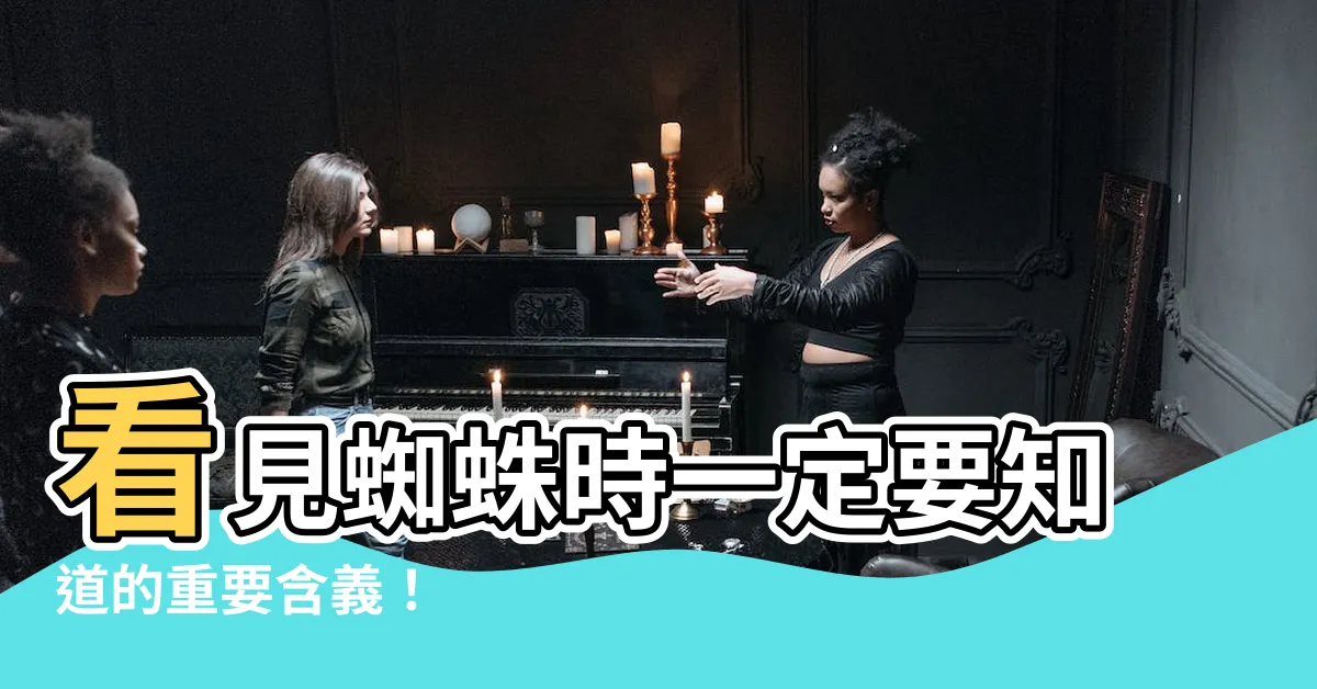 【看到蜘蛛代表什麼】看見蜘蛛時一定要知道的重要含義！