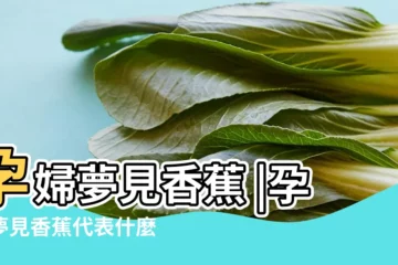 【孕婦夢到去摘香蕉】孕婦夢見香蕉 |孕婦夢見香蕉代表什麼 |夢見摘香蕉 |
