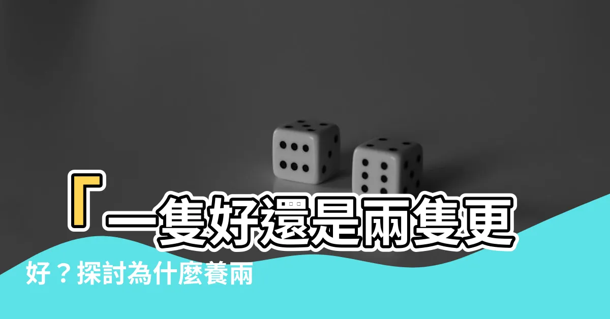 【養兩隻烏龜】「一隻好還是兩隻更好？探討為什麼養兩隻烏龜是明智的選擇！」