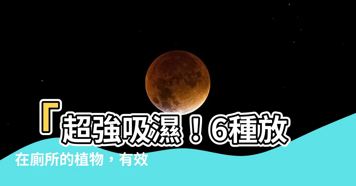 【放在廁所的植物】「超強吸濕！6種放在廁所的植物，有效除臭去濕還可化解厄運」