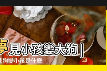 【夢見小孩變成大狗】夢見小孩變大狗 |夢見狗變小孩是什麼意思周公解夢 |夢見小孩變成狗是什麼意思 |