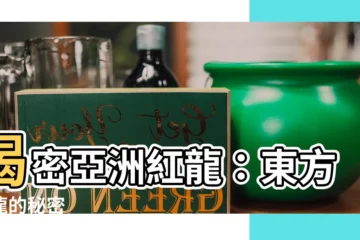 【紅龍是什麼】揭密亞洲紅龍：東方神龍的秘密