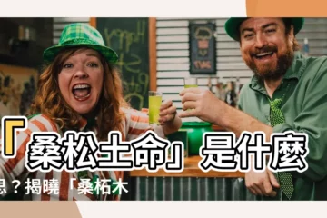 【桑鬆土命意思】「桑鬆土命」是什麼意思？揭曉「桑柘木命」的財運密碼