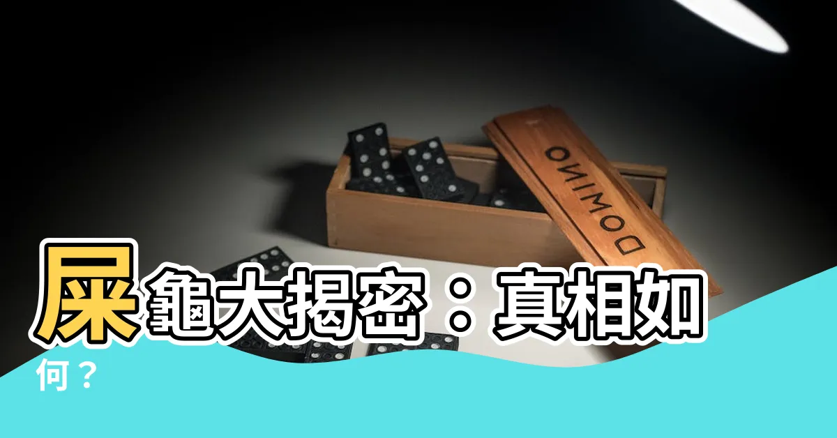 【屎龜意思】屎龜大揭密：真相如何？