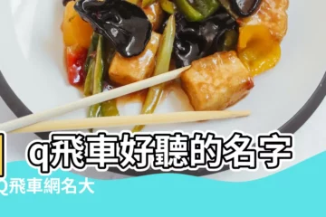 【qq飛車網名簡單好聽名字】qq飛車好聽的名字 |QQ飛車網名大全 |qq飛車名字大全 |