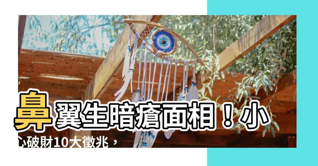 【鼻翼生暗瘡面相】鼻翼生暗瘡面相！小心破財10大徵兆，竟連發夢被追殺都關事？