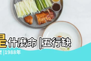 【1988年11月7日什麼命】是什麼命 |五行缺什麼 |1988年11月7日出生的人生辰八字測算 |