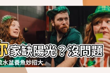 【流水盆可以養魚嗎】你家缺陽光？沒問題！流水盆養魚妙招大公開，價格透明超安心！
