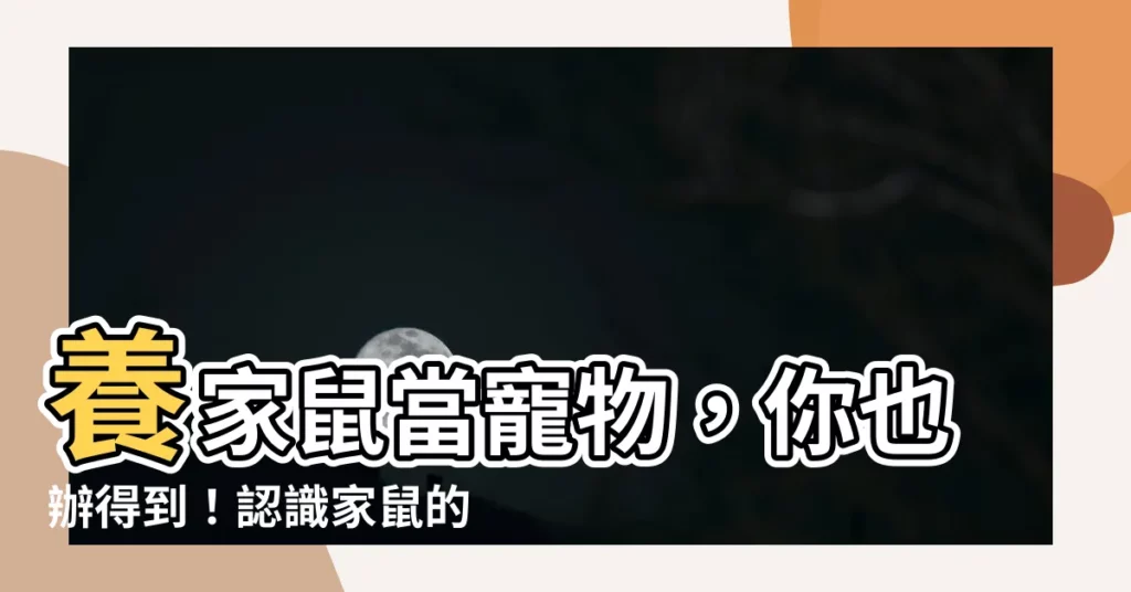 【家鼠可以養嗎】養家鼠當寵物，你也辦得到！認識家鼠的照護需求