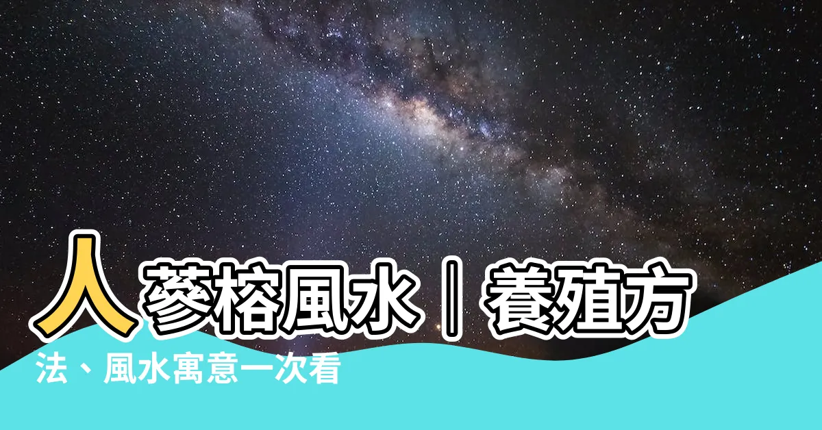 【人蔘榕風水】人蔘榕風水｜養殖方法、風水寓意一次看，放家裡會影響風水嗎？