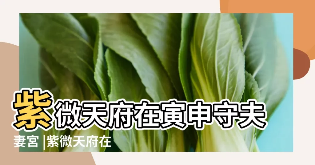 紫微天府在寅申守夫妻宮 |紫微天府在命宮的女人 |不為人知的好女人系列5 |【紫薇天府在命宮的婚姻】