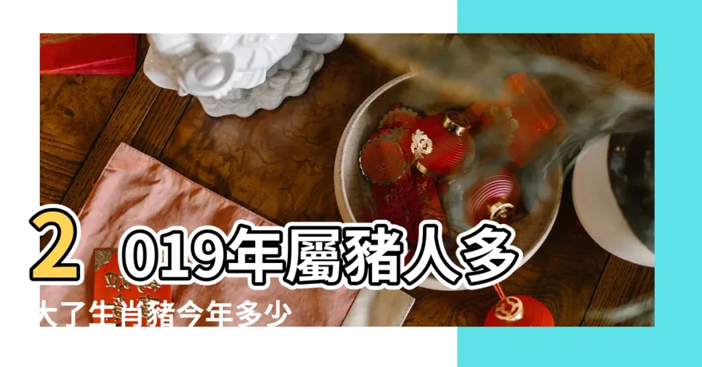 2019年屬豬人多大了生肖豬今年多少歲 |2019年出生屬豬人今年幾歲 |生肖豬2019年年齡 |【2019年屬豬多大歲數】