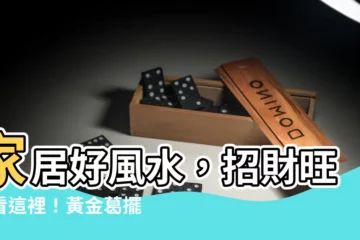 【黃金葛風水位置】家居好風水，招財旺運看這裡！黃金葛擺放位置大解析