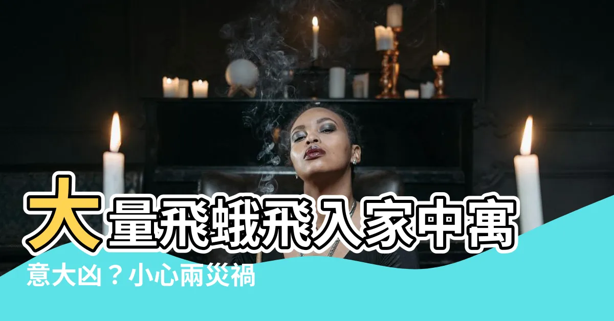 【飛蛾入屋寓意】大量飛蛾飛入家中寓意大凶？小心兩災禍將至！