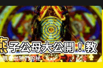 【燕子 公母】燕子公母大公開！教你一眼看出牠們的秘密