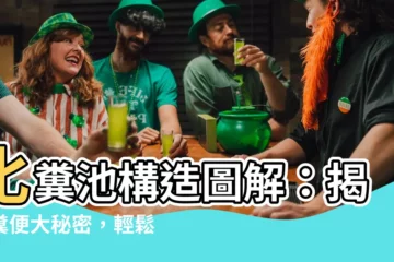 【化糞池構造圖解】化糞池構造圖解：揭開糞便大秘密，輕鬆保養化糞池！