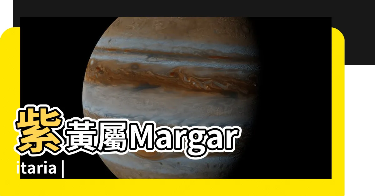 【紫黃屬】紫黃屬Margaritaria |