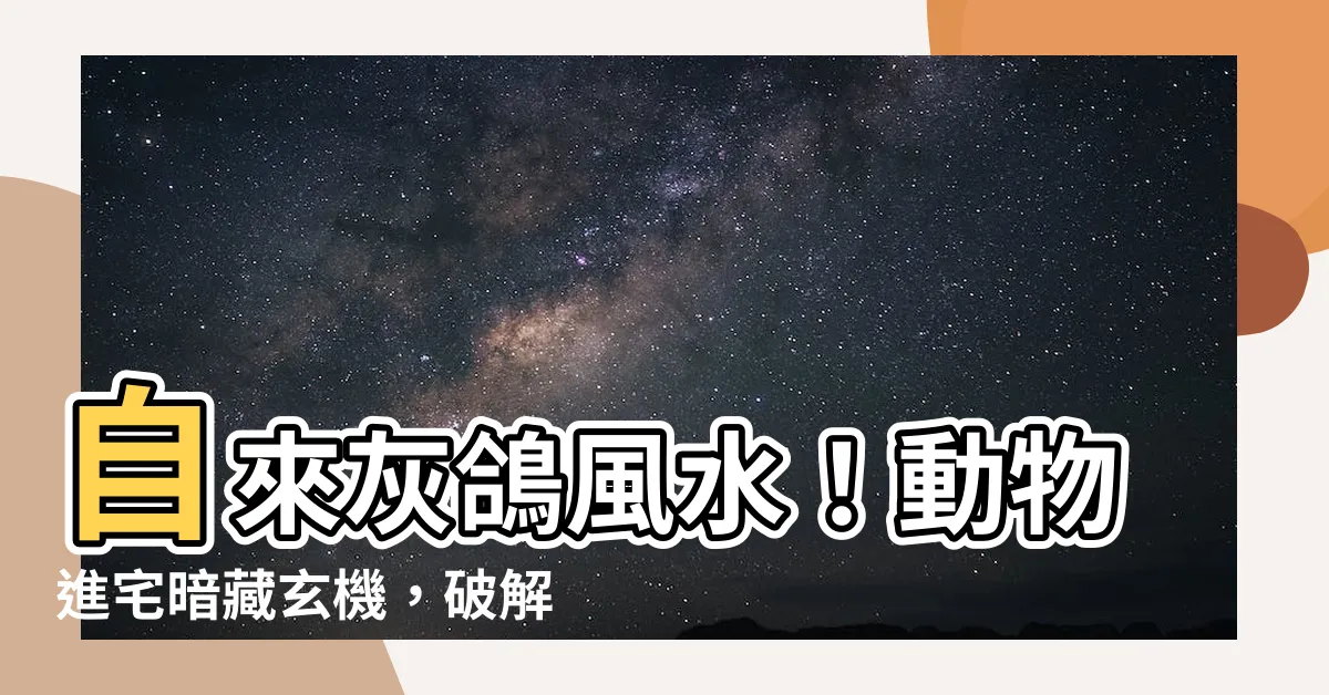 【自來灰鴿風水】自來灰鴿風水！動物進宅暗藏玄機，破解吉祥好運