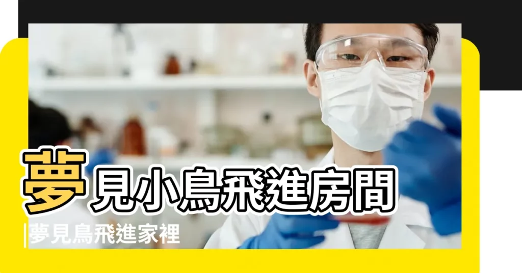 夢見小鳥飛進房間 |夢見鳥飛進家裡 |夢見鳥飛進屋 |【夢見很多鳥飛進卧室】