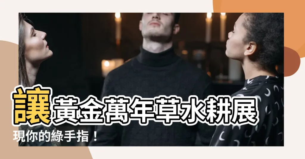【黃金萬年草水耕】讓黃金萬年草水耕展現你的綠手指！