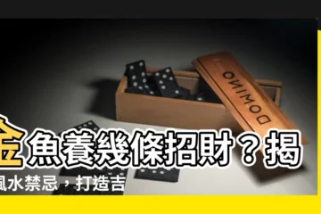 【金魚養幾條好】金魚養幾條招財？揭密風水禁忌，打造吉祥好運！