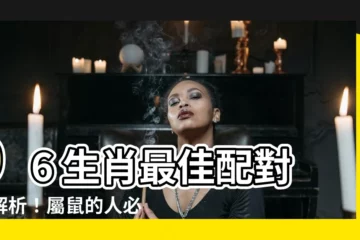 【96 生肖】96 生肖最佳配對大解析！屬鼠的人必看！