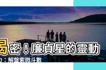 【廉貞星】揭密！廉貞星的靈動魅力：解盤紫微鬥數的必殺關鍵