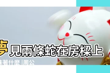 【夢見2條大蛇在樑上】夢見兩條蛇在房樑上意味著什麼 |周公解夢夢見兩條大蟒蛇是什麼意思做夢夢到兩 |做夢夢到房樑上有好幾條蛇 |