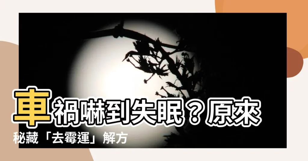 【車禍去黴運】車禍嚇到失眠？原來秘藏「去黴運」解方在美味豬腳麵線裡！
