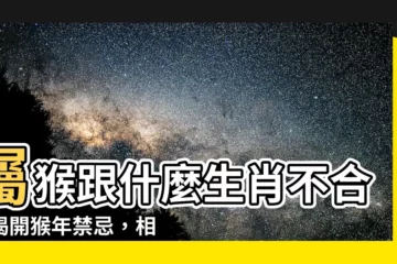 【屬猴跟什麼生肖不合】屬猴跟什麼生肖不合？揭開猴年禁忌，相沖相剋生肖一次看！