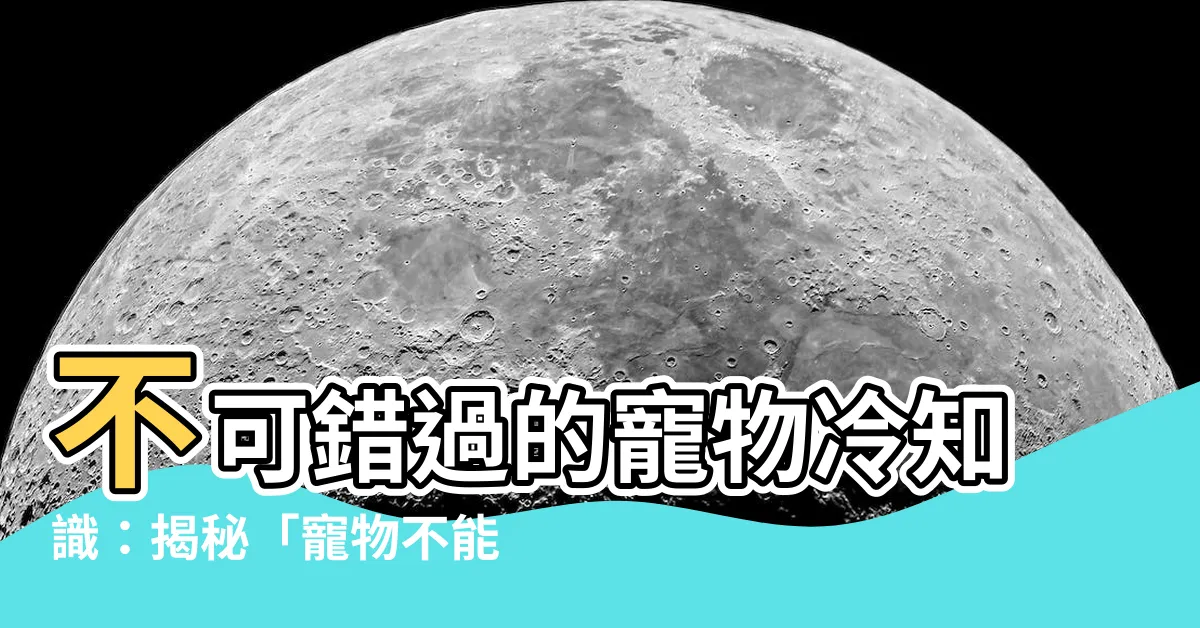 【寵物不能養雙數】不可錯過的寵物冷知識：揭秘「寵物不能養雙數」的驚人傳説！
