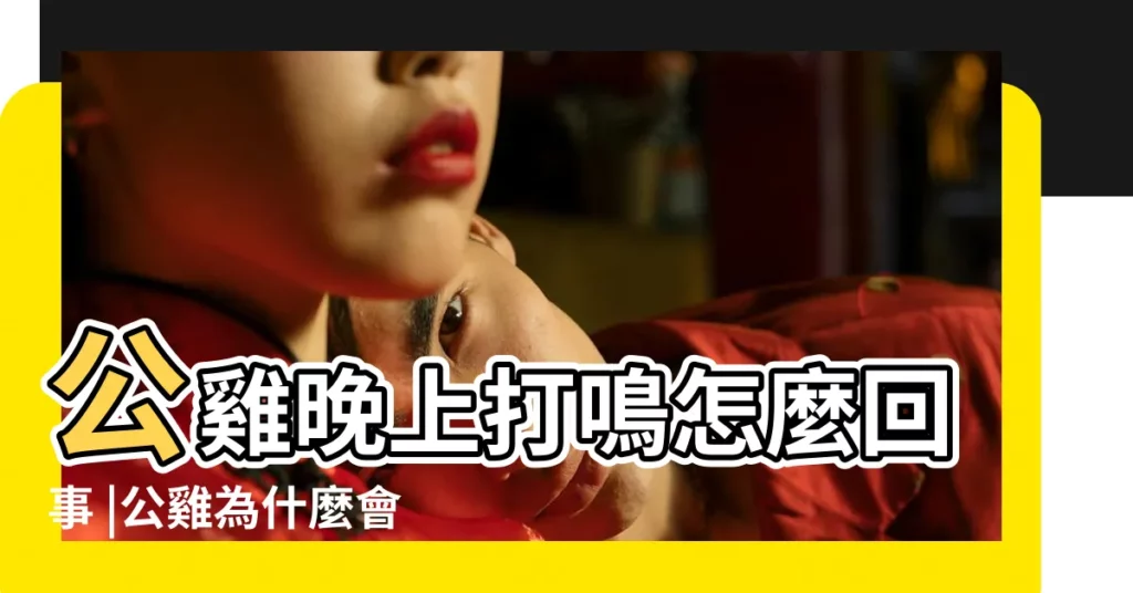 公雞晚上打鳴怎麼回事 |公雞為什麼會在晚上啼叫 |為什麼公雞晚上10點鳴叫 |【公雞晚上叫】
