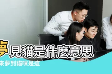 【夢見老婆帶貓回家】夢見貓是什麼意思 |原來夢到貓咪是這個意思啊 |你有夢到貓貓過嗎 |