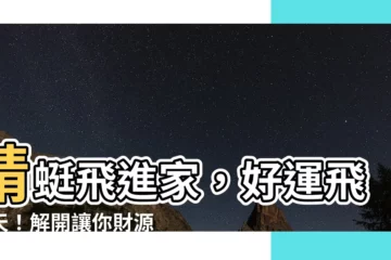 【蜻蜓飛到家裡】蜻蜓飛進家，好運飛上天！解開讓你財源廣進的秘密