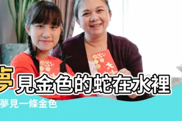 【夢見水中有一條金色的蛇】夢見金色的蛇在水裡遊 |夢見一條金色的大蛇 |夢見金色大蛇在水裡遊 |
