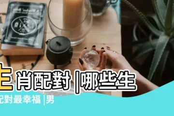 【十二屬相配對】生肖配對 |哪些生肖配對最幸福 |男女十二生肖配對表十二生肖正確的婚姻配對大全 |