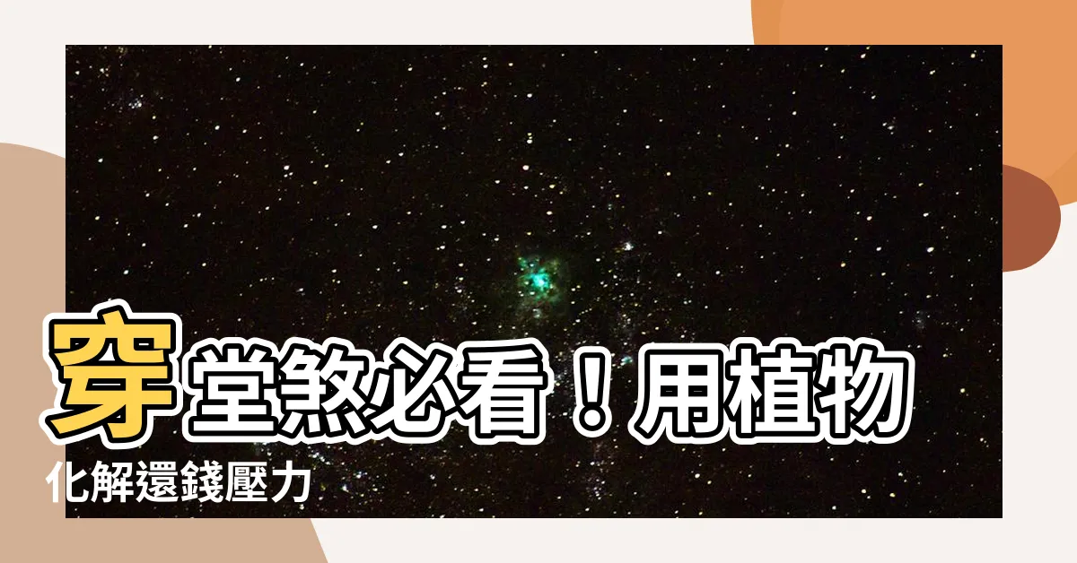 【穿堂煞 植物】穿堂煞必看！用植物化解還錢壓力