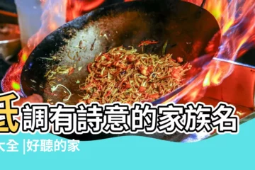 【個性好聽家族名字大全】低調有詩意的家族名字大全 |好聽的家族名字個性遊戲家族名字霸氣家族名字大全 |讀之高級感十足 |