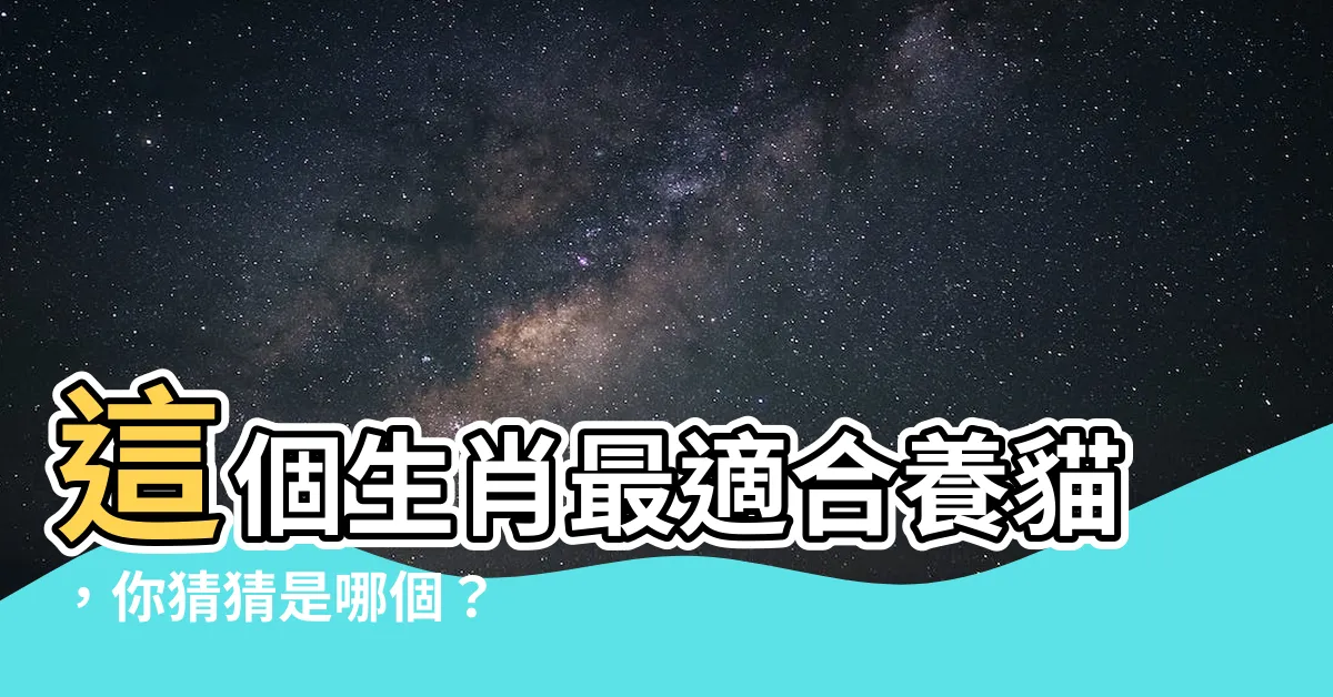 【適合養貓的生肖】這個生肖最適合養貓，你猜猜是哪個？